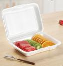 White Foam Square Take Out Container with Hinged Lid  200 | Case