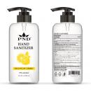 PND HAND SANITIZER - 500 ml
